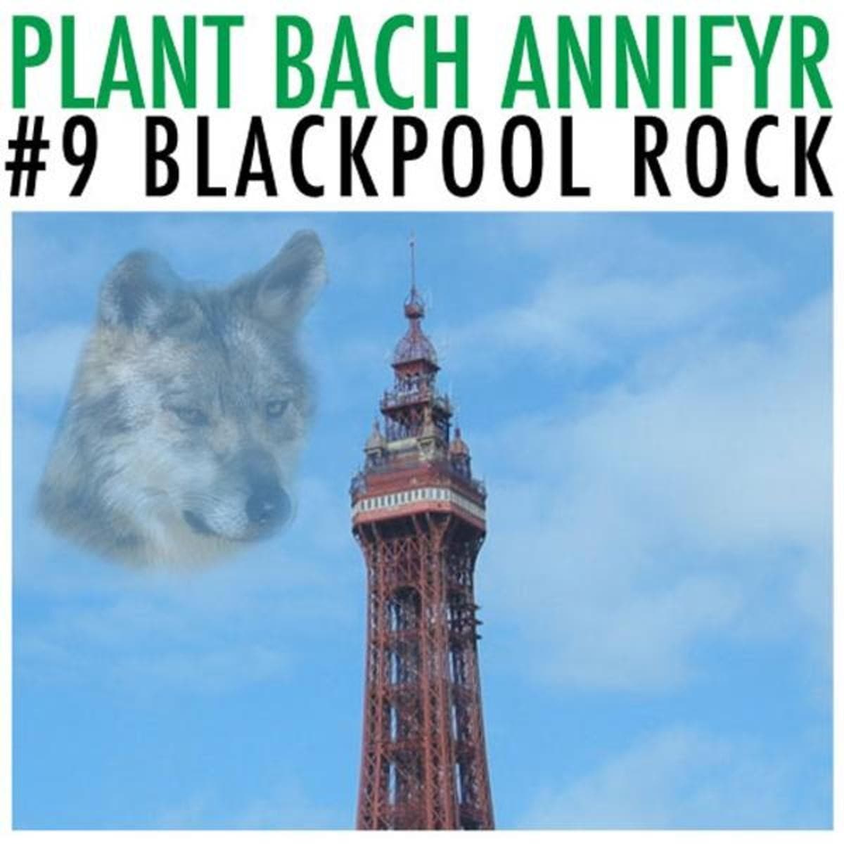 #9 Blackpool Rock